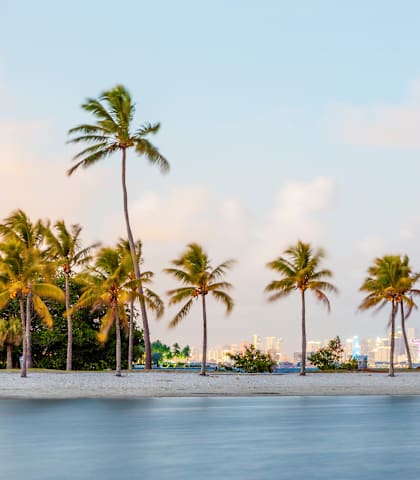 a beach with palm trees and the houston skyline
