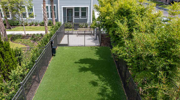 Fenced Pet Park at Waverly Terrace Luxury Apartments in Temple Terrace FL