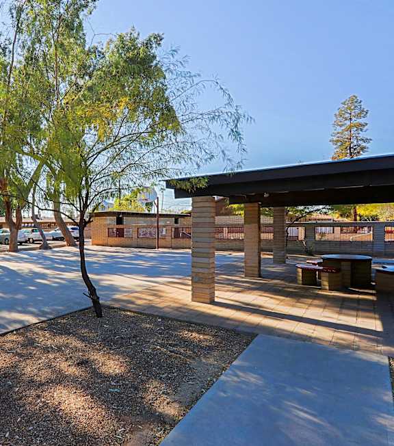A basketball court is surrounded by trees and a building.