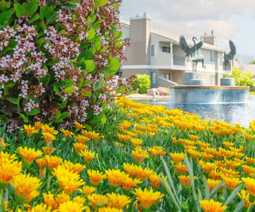 Beautiful Yellow Flowers in Front of Heron Pointe Apartments & Townhomes in Fresno, CA 93711