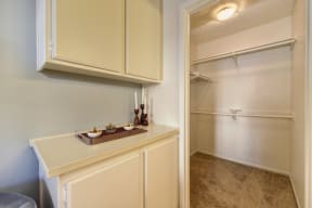 Large Extended Bedroom Closet with lighting, Vanity, Carpeted Flooring