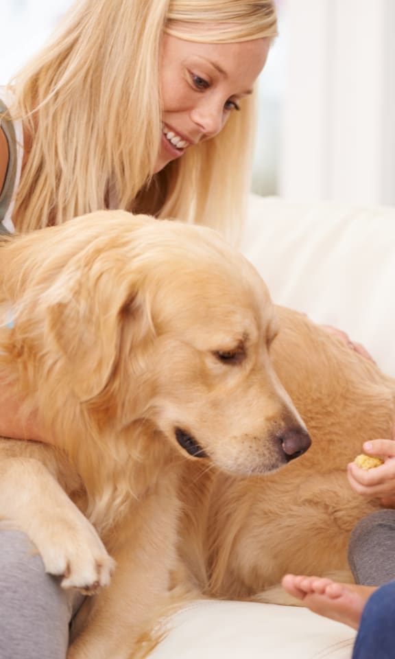 a young boy and his parents are sitting on a couch with a golden retriever