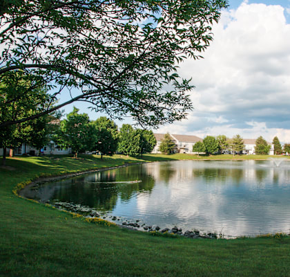 A pond in a park with a tree in the foreground.