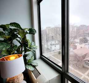 A view of a town from a window with a plant on the windowsill.