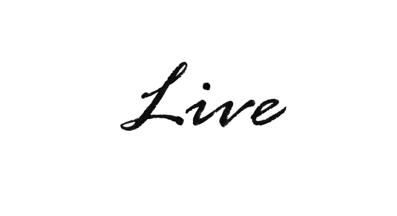 a hand drawn love logo with the word love