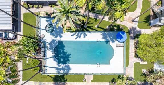 A swimming pool surrounded by palm trees and a white fence.