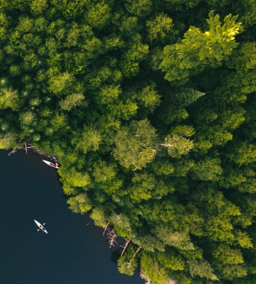 Ariel view of lake and trees