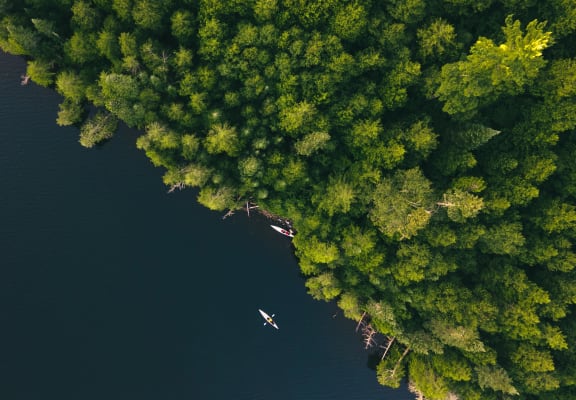 Ariel view of lake and trees