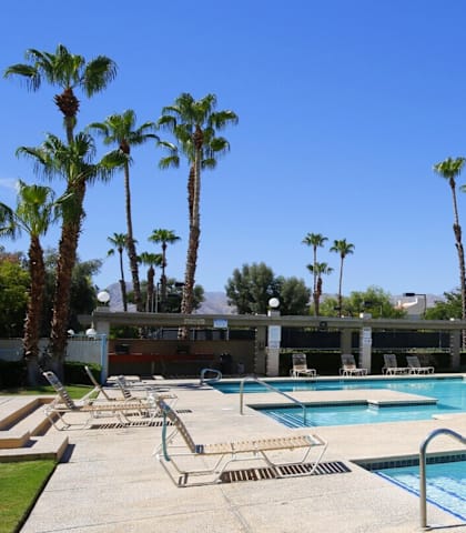 A pool surrounded by palm trees and lounge chairs.