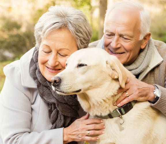 An elderly couple is enjoying a moment with their dog in a park.