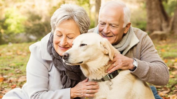 An elderly couple is enjoying a moment with their dog in a park.