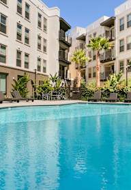 Pool View at Cirrus Redwood City, California