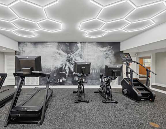 Sandy Springs, GA Apartments – Celebration at Sandy Springs – A gym with treadmills, exercise bikes, and a wall mural.