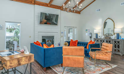 a living room with couches chairs and a fireplace