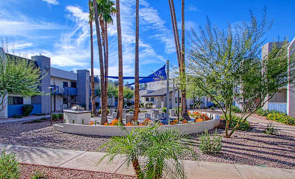 A sunny day in a residential area with palm trees and a blue banner.