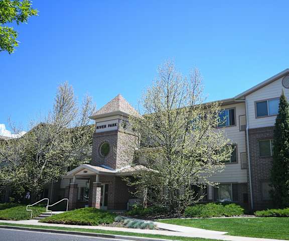 an apartment building with a tree in front of it