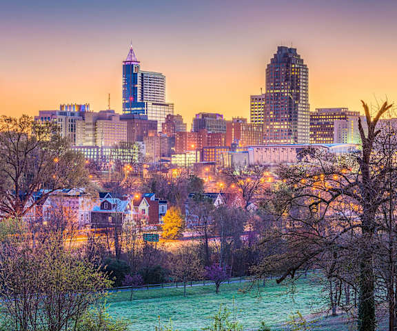 the city skyline at sunset in the winter