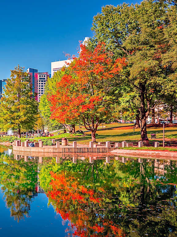 a park with trees and a lake and a city in the background
