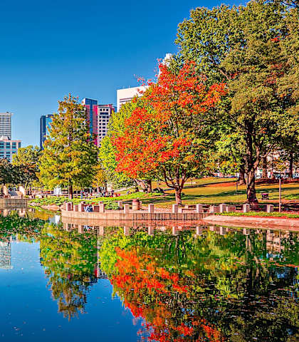 a park with trees and a lake and a city in the background