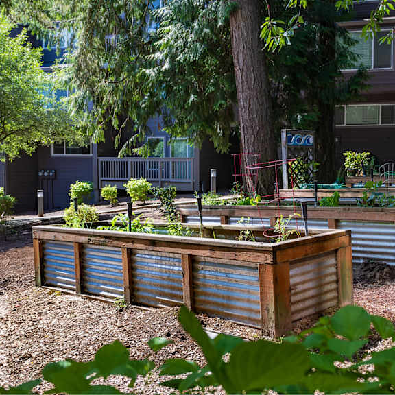 A garden with a metal fence and a tree in the background.