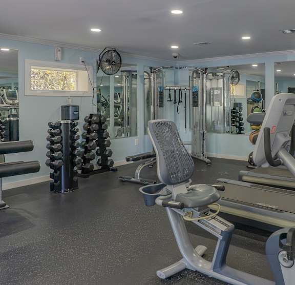 Modern gym1 at Tuscarora Creek, Leesburg, VA, 20175