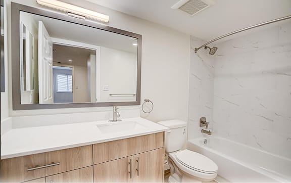 a bathroom with a sink and a toilet and a mirror  at Palm Gardens @ Biscayne Gardens, North Miami, FL