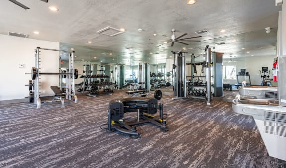 spacious gym with cardio machines and weights at the condos