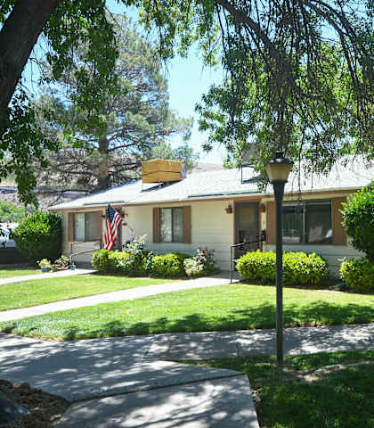 a house with a lawn and a lamp post in front of it