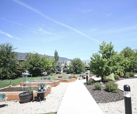 an outdoor area with trees and plants and a pathway