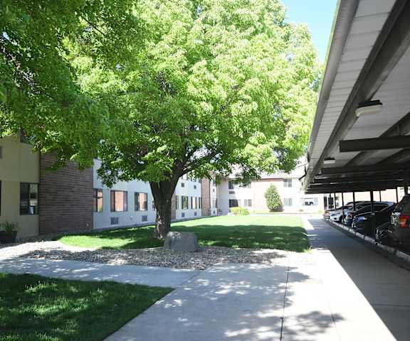 a tree in the middle of a sidewalk in front of a building