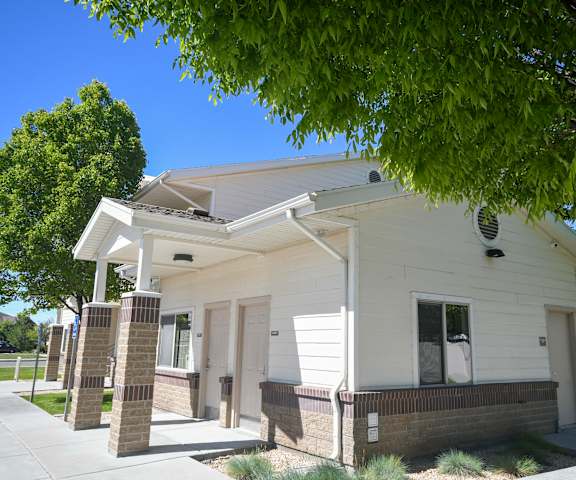 a white building with a porch and a tree