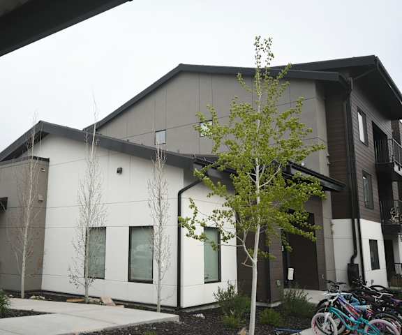 a white and black building with a tree in front of it