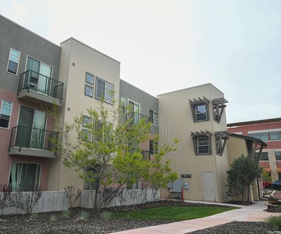 a group of three buildings with a sidewalk and a tree in front of them