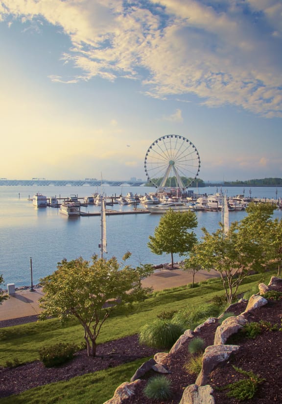 Ferris Wheel Over a Body of Water at Allure Apollo, Camp Springs