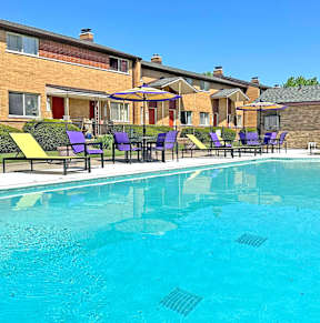 A swimming pool surrounded by yellow sun loungers.