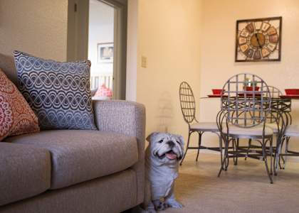Dining area and living room at Sunset Landing Apartments in Glendale AZ
