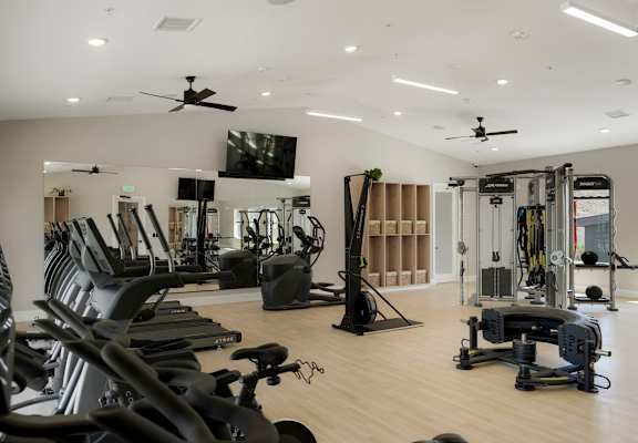 a gym with cardio equipment and weights on a wooden floor