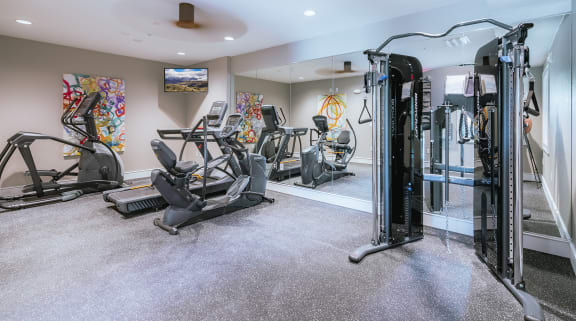 the gym at the enclave at woodbridge apartments in sugar land, tx