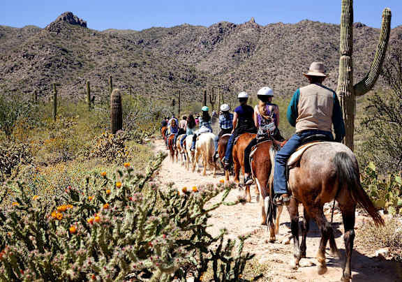 A group of people riding horses through a desert.
