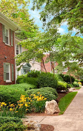 A residential street with a sidewalk and greenery. at Rivercrest Apartments, New Jersey, 08854