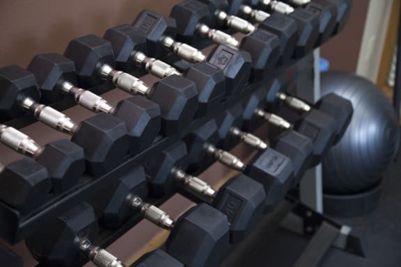 Free Weights in fitness center
