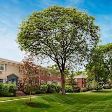 A tree in a grassy area in front of a building. at Rivercrest Apartments, New Jersey, 08854
