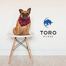 A dog is sitting on a white chair with a red and black checkered scarf around its neck.