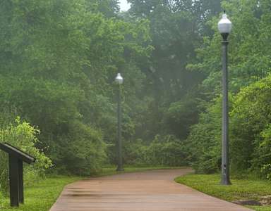 A walkway in a park with lamp posts on either side.