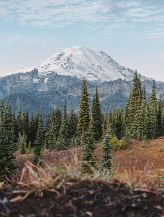 View of Mt. Rainier