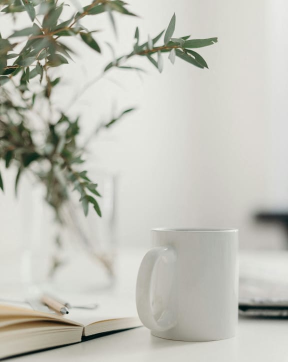 a white coffee mug on a desk next to a book and a plant