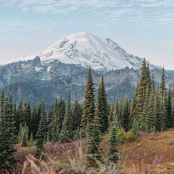 A mountain with a snow cap is in the background with trees in the foreground.