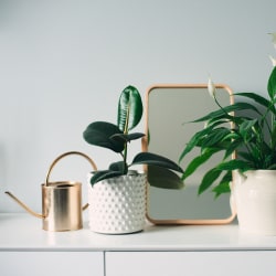 three potted plants and a mirror on a white desk