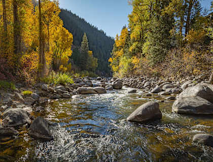 A river flows through a forest with rocks in the foreground.