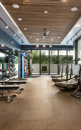 A gym with a variety of equipment including treadmills, weights, and a rowing machine.